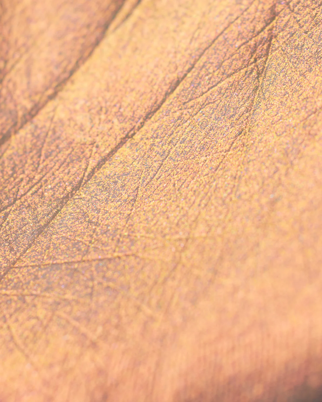 Thumbnail 24
